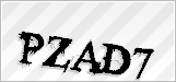 CAPTCHA security code