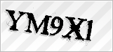 CAPTCHA security code