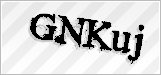 CAPTCHA security code
