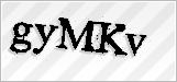 CAPTCHA security code