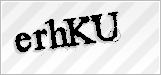 CAPTCHA security code