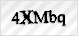 CAPTCHA security code