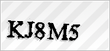 CAPTCHA security code