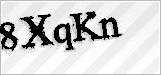 CAPTCHA security code