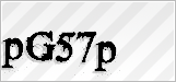 CAPTCHA security code