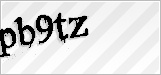 CAPTCHA security code