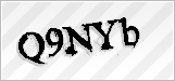 CAPTCHA security code