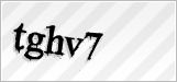 CAPTCHA security code