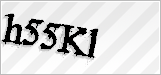 CAPTCHA security code