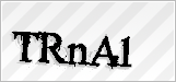CAPTCHA security code