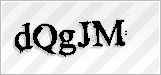 CAPTCHA security code