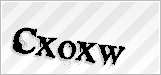 CAPTCHA security code