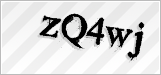 CAPTCHA security code