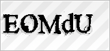 CAPTCHA security code