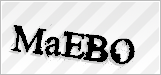 CAPTCHA security code
