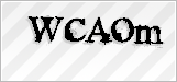 CAPTCHA security code