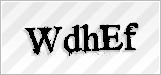 CAPTCHA security code