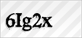 CAPTCHA security code