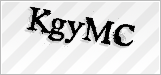 CAPTCHA security code