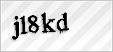 CAPTCHA security code