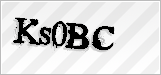 CAPTCHA security code