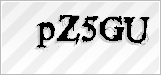 CAPTCHA security code