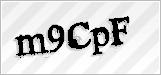CAPTCHA security code