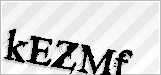 CAPTCHA security code