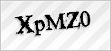 CAPTCHA security code