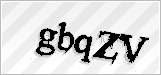 CAPTCHA security code