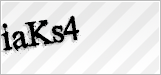 CAPTCHA security code