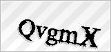 CAPTCHA security code