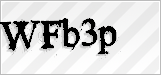 CAPTCHA security code