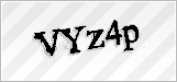 CAPTCHA security code