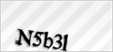 CAPTCHA security code