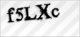 CAPTCHA security code
