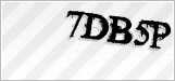 CAPTCHA security code