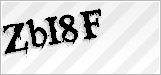 CAPTCHA security code