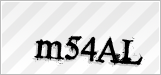 CAPTCHA security code