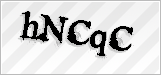 CAPTCHA security code