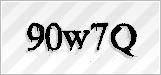 CAPTCHA security code