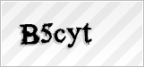 CAPTCHA security code