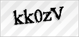 CAPTCHA security code