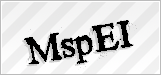 CAPTCHA security code