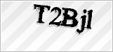 CAPTCHA security code
