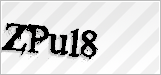 CAPTCHA security code
