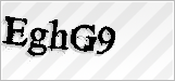 CAPTCHA security code