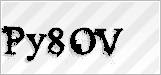 CAPTCHA security code