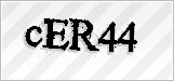 CAPTCHA security code