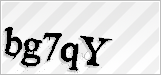 CAPTCHA security code